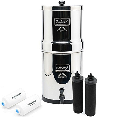 Big Berkey BK4X2 Countertop Water Filter System with 2 Black Berkey Elements and 2 Fluoride Filters